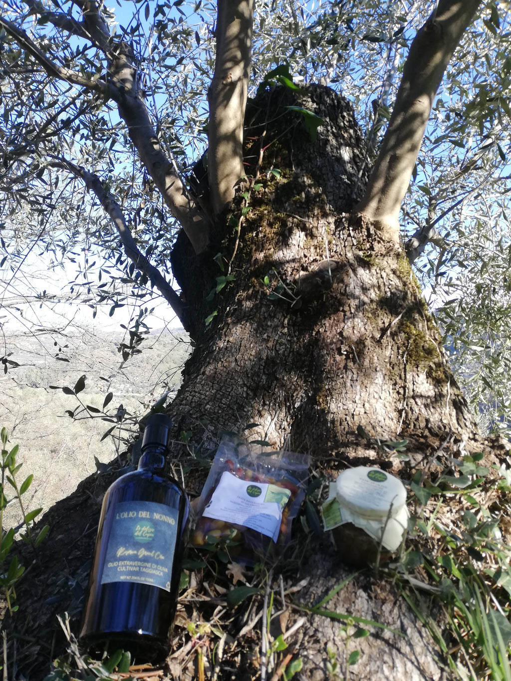 PATE' DI OLIVE TAGGIASCHE 180GR